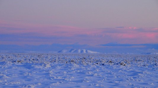 Sage steppe in winter at Seedskadee National Wildlife Refuge