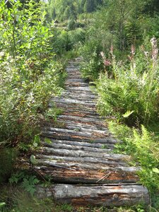 Boardwalk hiking walk