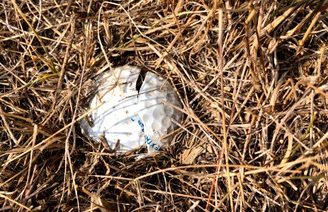 One in Hole