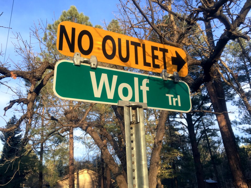 2018/365/48 No Way Out for Wolves