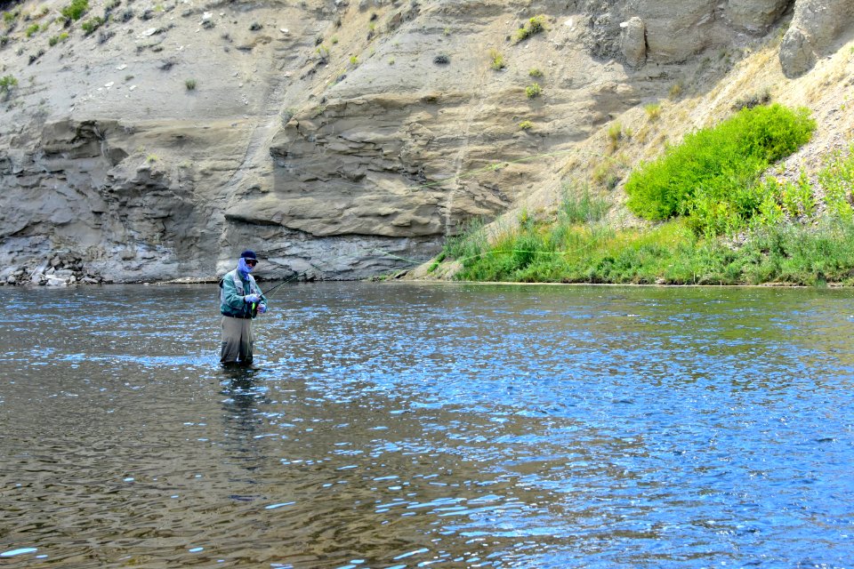 Fly Fishing photo