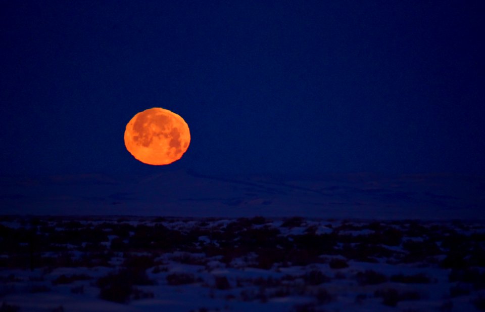 Moon set at Seedskadee National Wildlife Refuge
