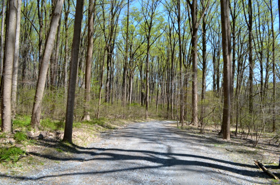 Wheaton Regional Park