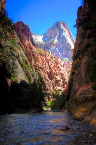 Looking to the Narrows