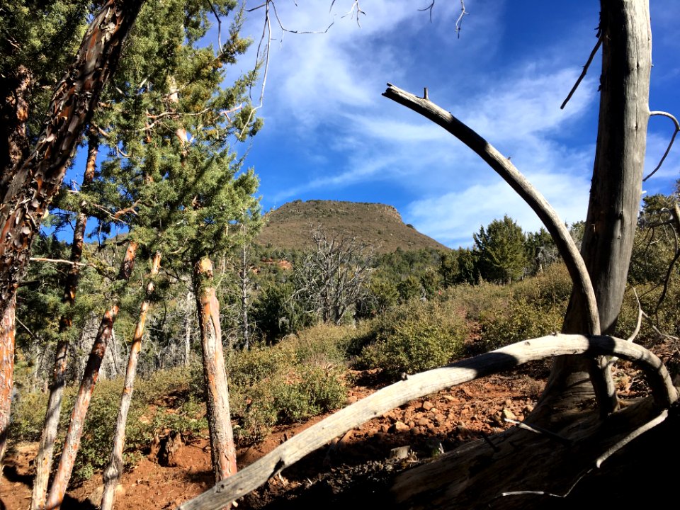 View Up to the top