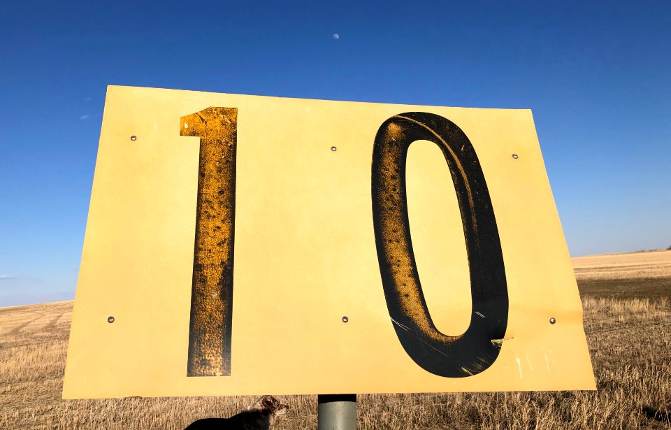 This Moon Rates a 10