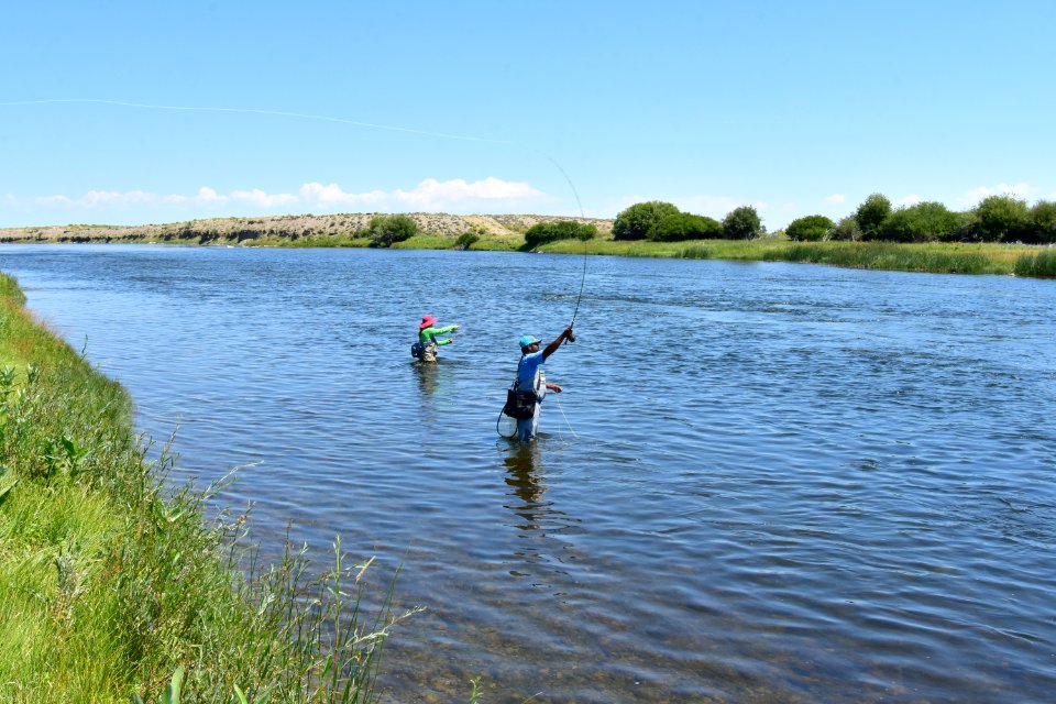 Flyfishing at Seedskadee National Wildlife Refuge photo