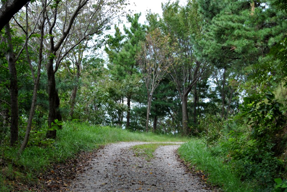 Dobee Mountain