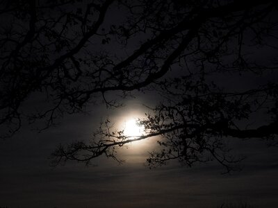 Ghostly sunset dark