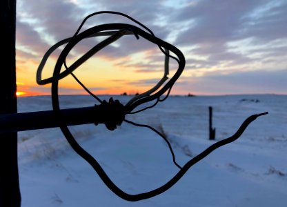 Wire the Sunset