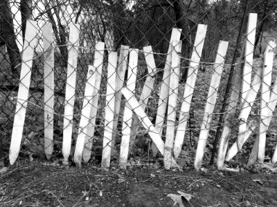 Fences Gone Meta