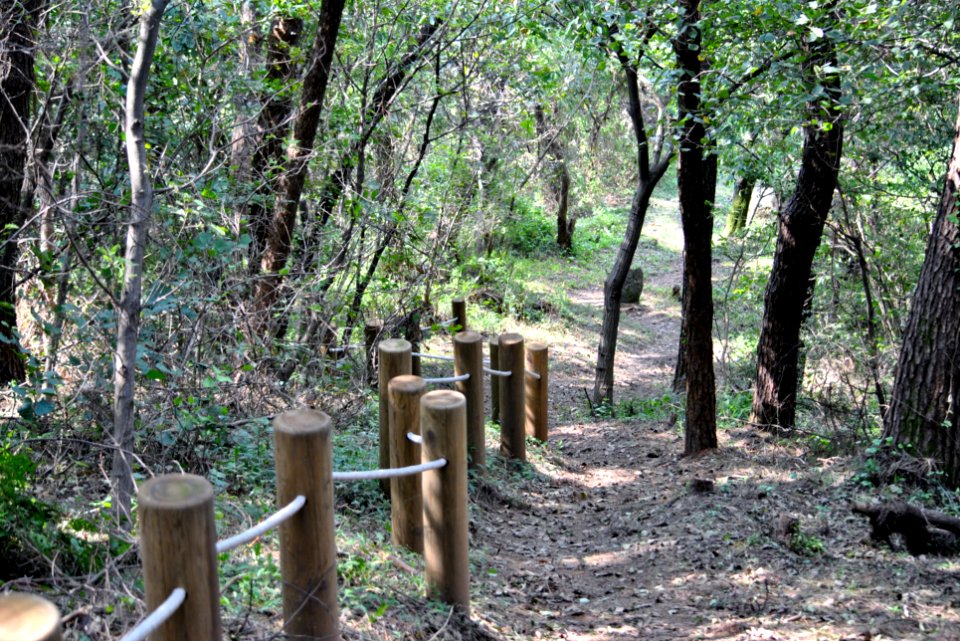 Dobee Mountain