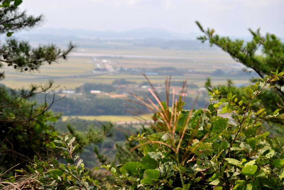 Dobee Mountain