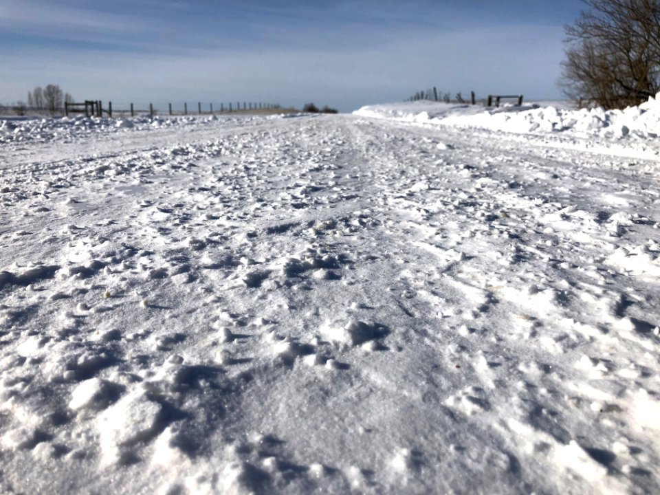 Belly on the Snow Covered Gravel Road
