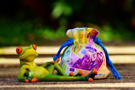 Calming frog relaxed
