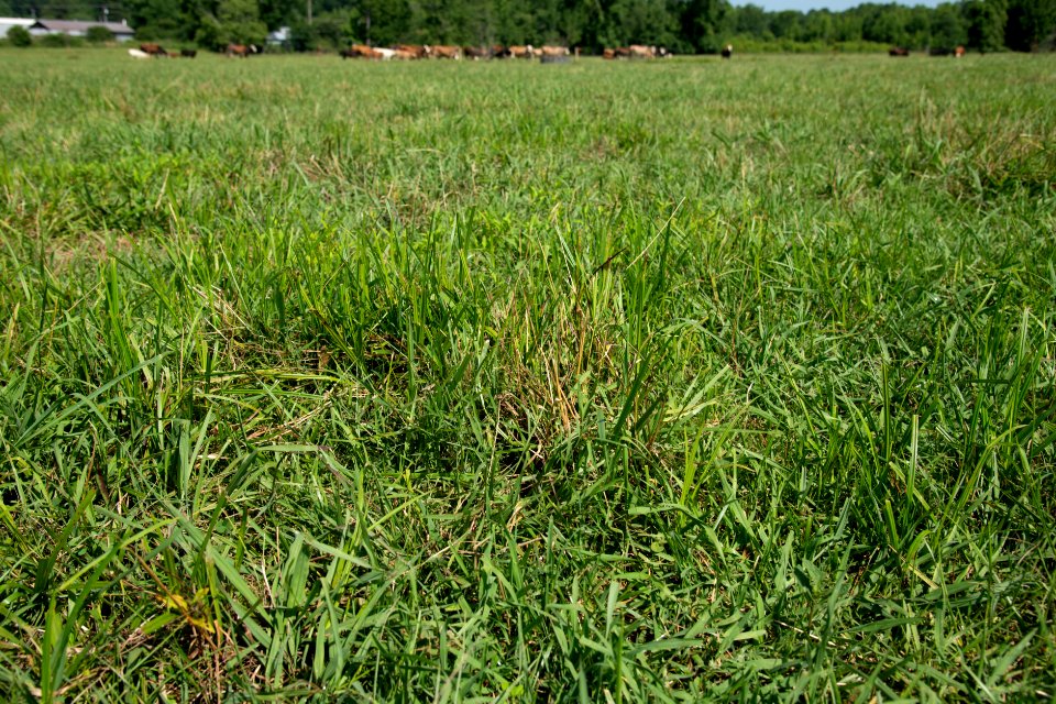 20190627-NRCS-LSC-0385
