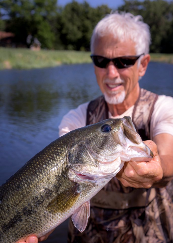Largemouth bass at GPNFH