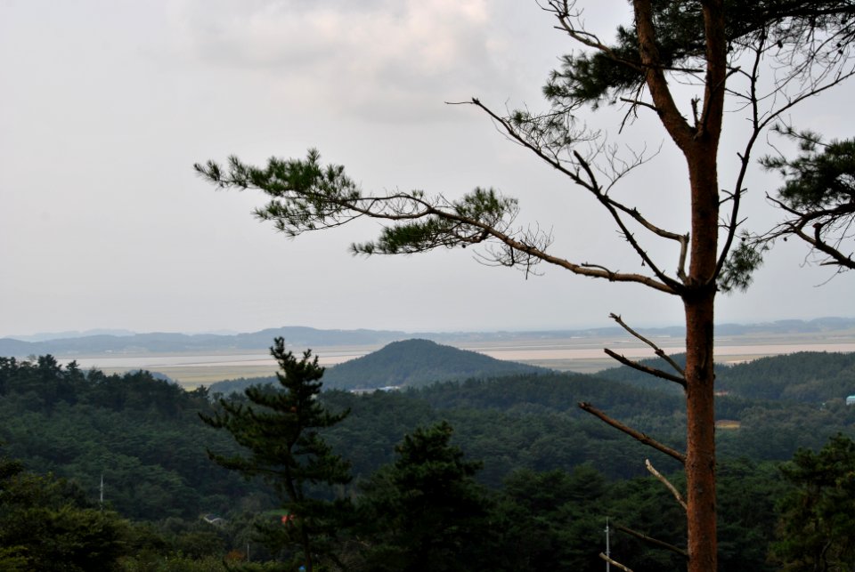 Dobee Mountain