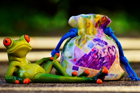 Calming frog relaxed