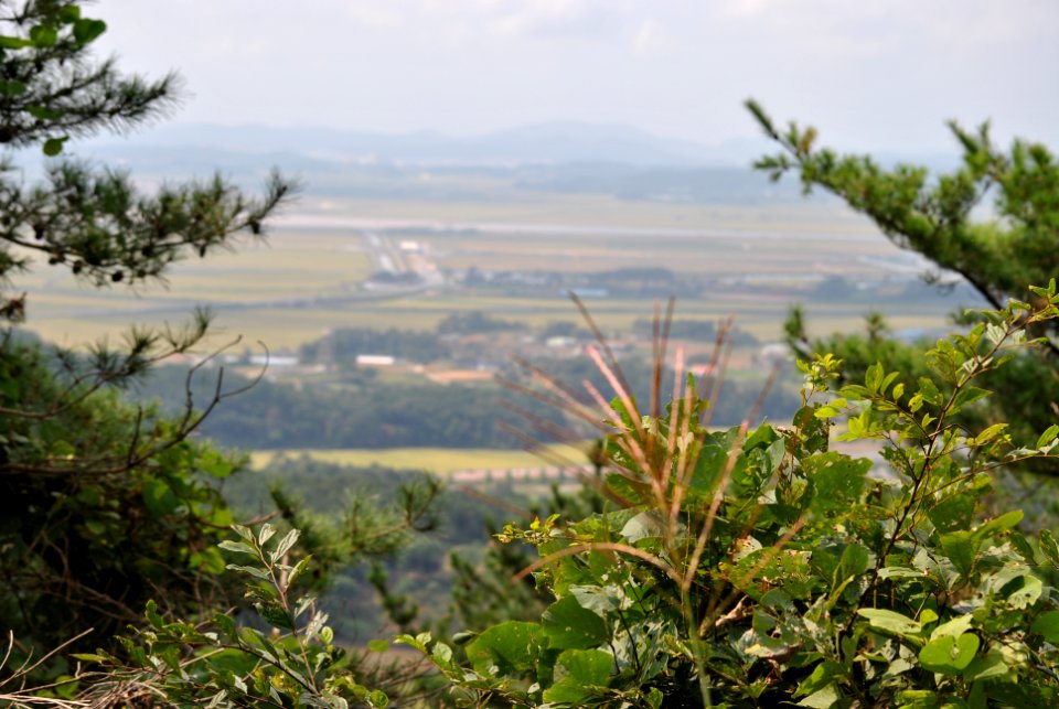 Dobee Mountain