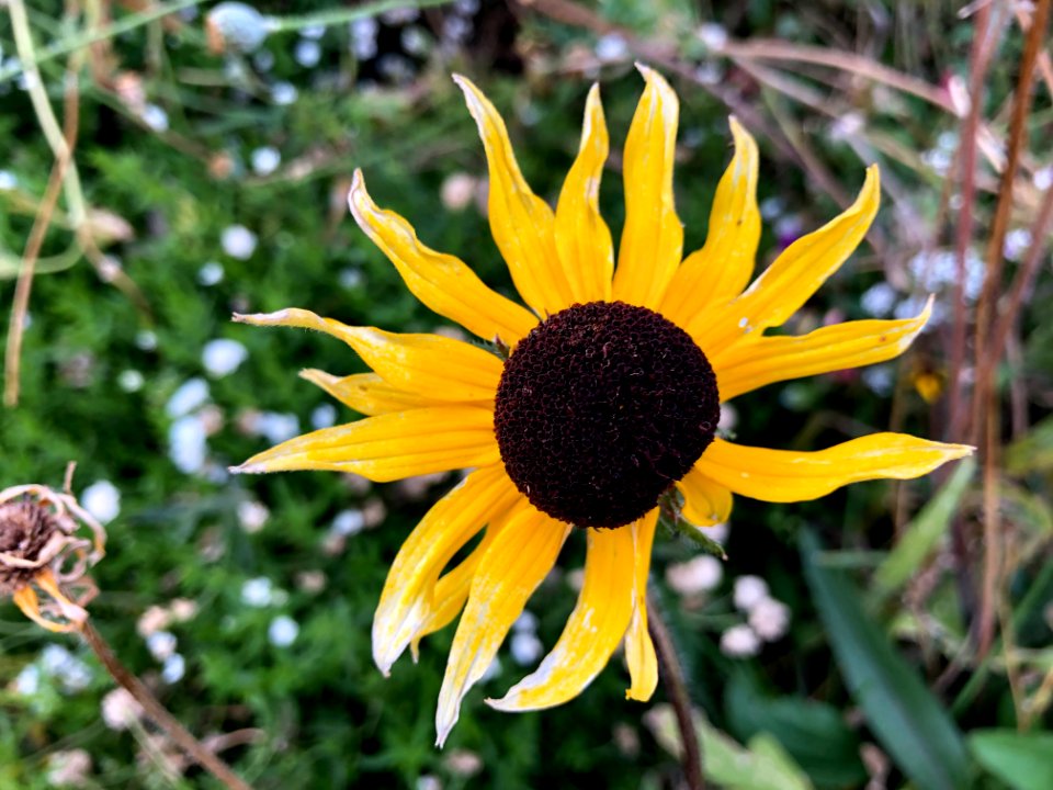 Late in the Game of Summer