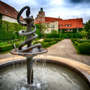 von der Anatomie zum Münster