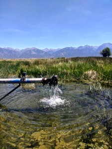 Artesian Well