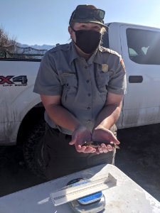 Fish processing photo