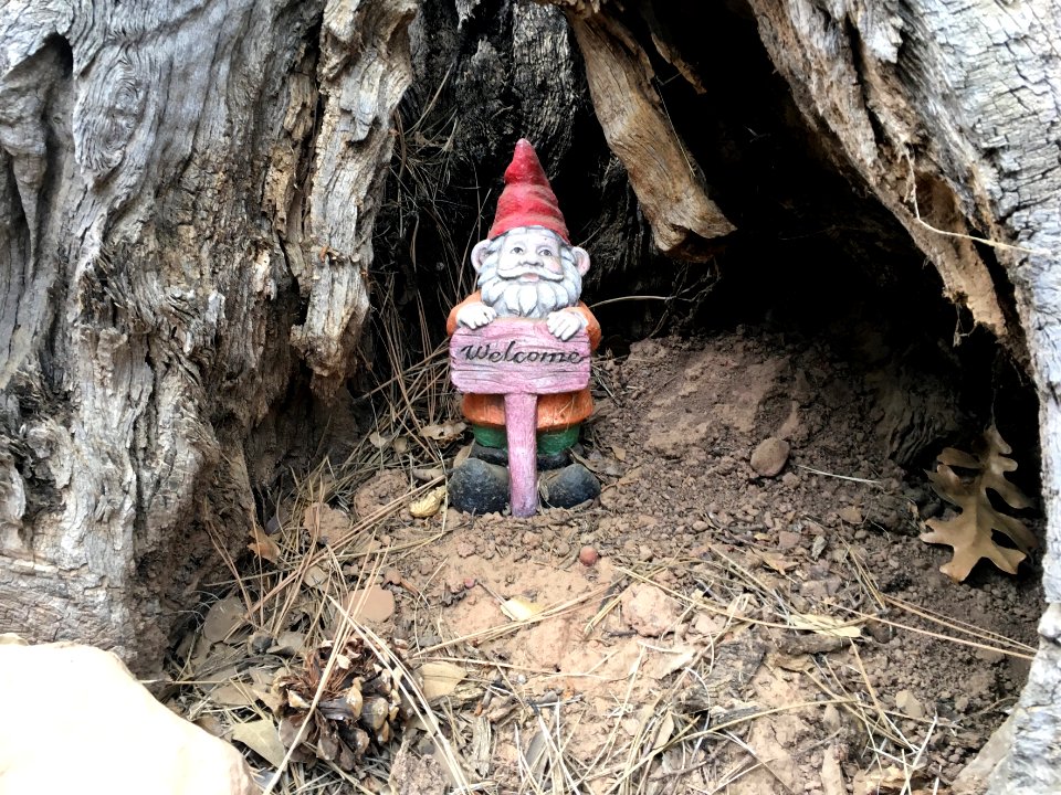 Gnome Alone
