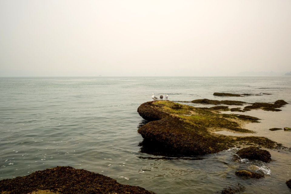 Smoke from Washington state fires leaves haze over BC Canada