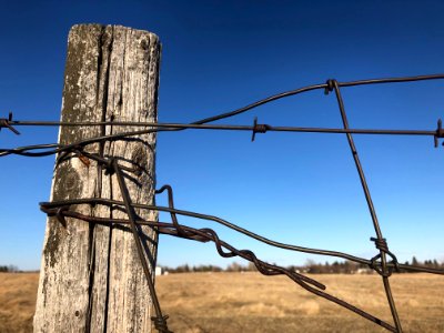 Well Connected