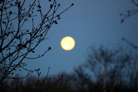 Super Moon