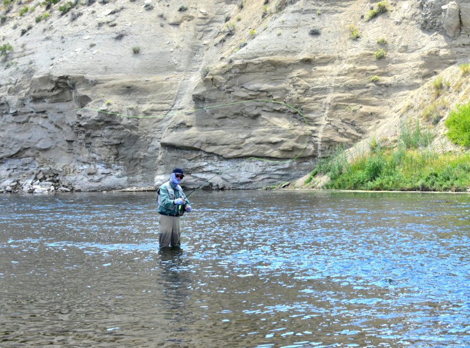 Fly Fishing photo