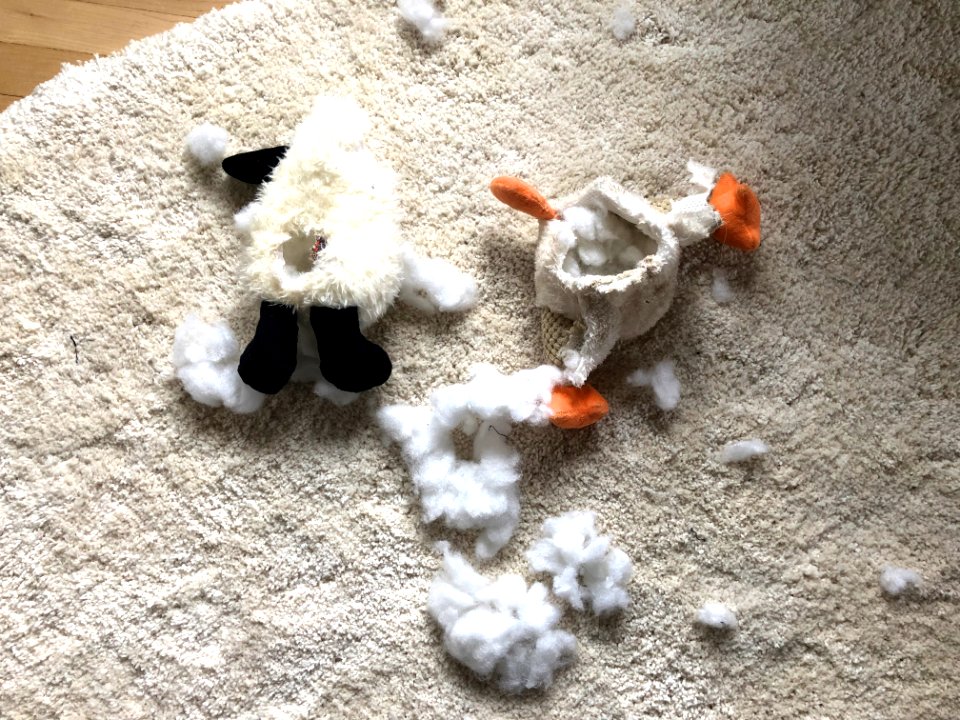 Scene of Two Crimes