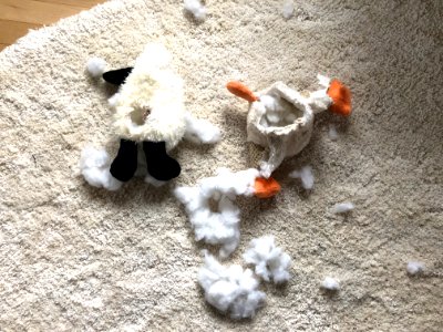 Scene of Two Crimes