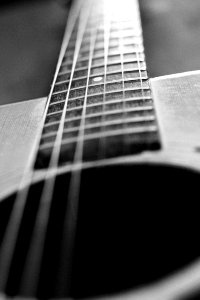 2010/365/12 Strings in Motion