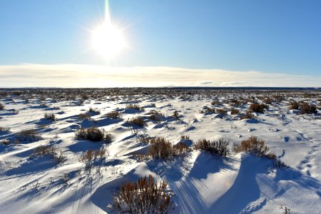 Seedskadee National Wildlife Refuge