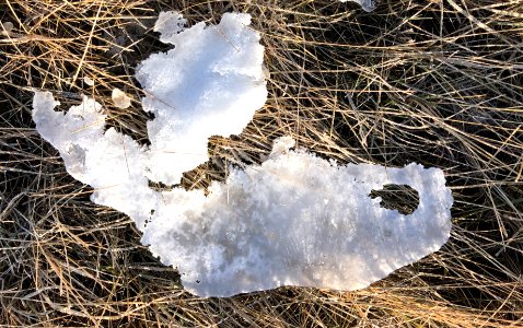 Ice Island (not Iceland?) photo