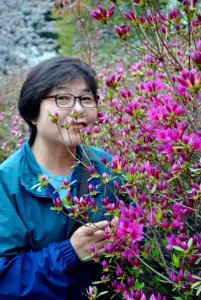 Yeouido Park Spring 2016