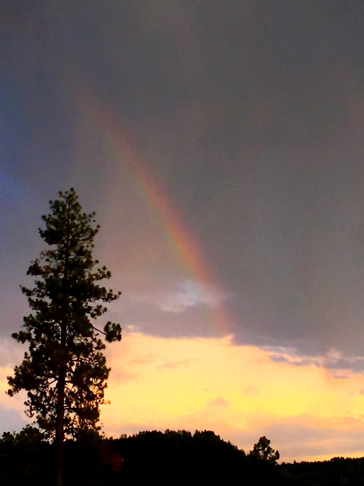 Rainbow Watcher
