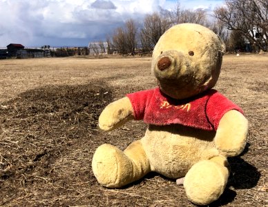 Ranch Pooh