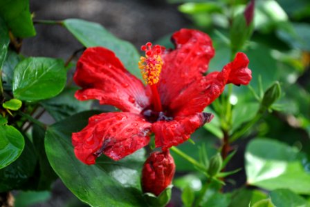 Asan Botanical Garden