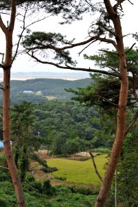 Dobee Mountain