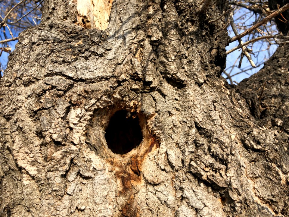 Is Anyone Home?
