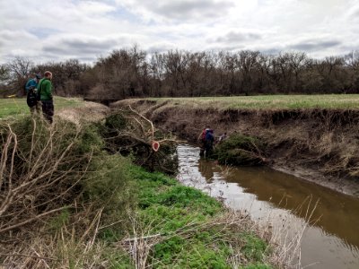 Stream Restoration