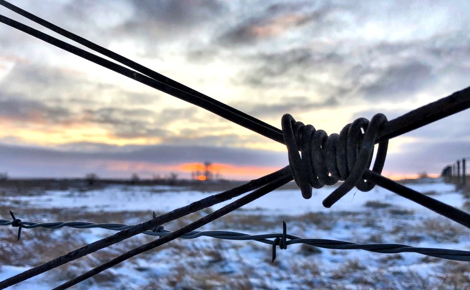 At the Cross Wires