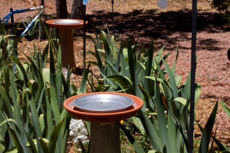Birdbath 3.0