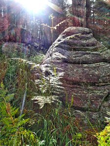 Light My Rock