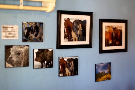 2010/365/148 Photo Show