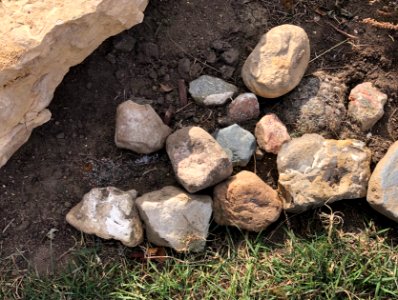 Bringing Home The Rocks